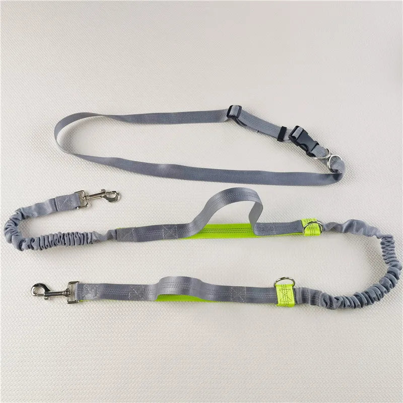 “For Every Walk You’ll Always Wish You Could Take…” | Hands-Free Dog Leash for Golden Retrievers