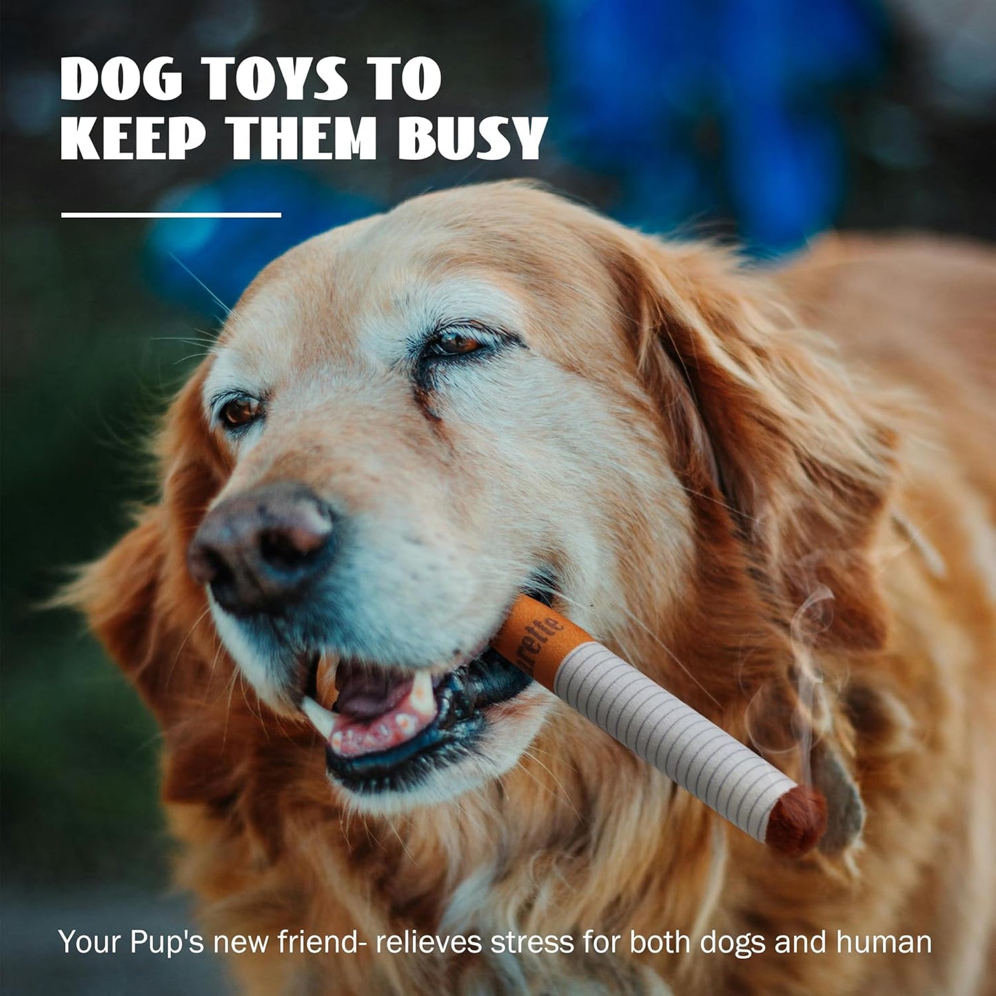 🖤🐶 He Lost His Mother… Now He Just Wants to Be Alone with His Thoughts… and His Cigarette Toy.