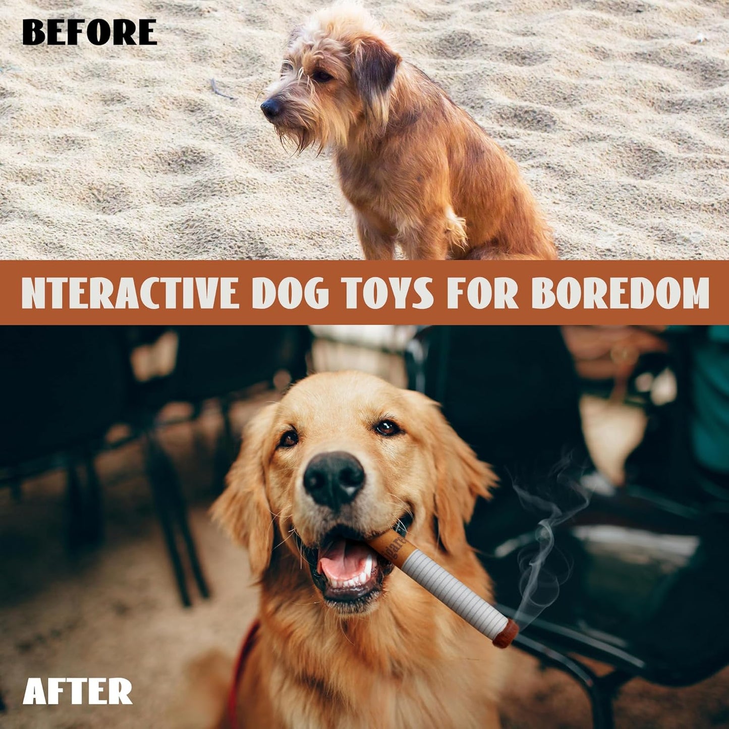 🖤🐶 He Lost His Mother… Now He Just Wants to Be Alone with His Thoughts… and His Cigarette Toy.