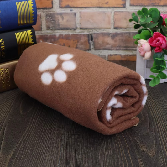 Cozy Winter Blanket for Cold Cavapoos, Cavaliers & Basset Hounds in Council Bluffs!