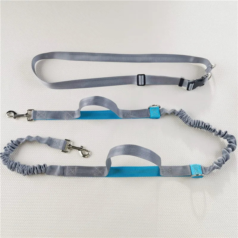 “For Every Walk You’ll Always Wish You Could Take…” | Hands-Free Dog Leash for Golden Retrievers