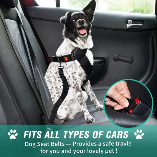 Love & Safety on the Go! 🚗✨ Dog Leash with Seat Belt Buckle — Keep Your Pup Secure & Close to Your Heart!