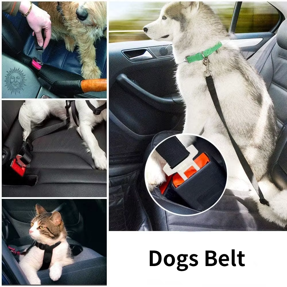 Keep Your Pup Safe & Snug 🐾 Adjustable Dog Seat Belt for Stress-Free Car Rides! 💖