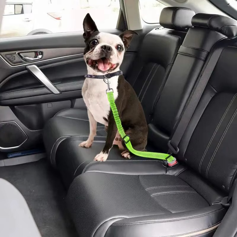 Love & Safety on the Go! πβ¨ Dog Leash with Seat Belt Buckle β Keep Your Pup Secure & Close to Your Heart!