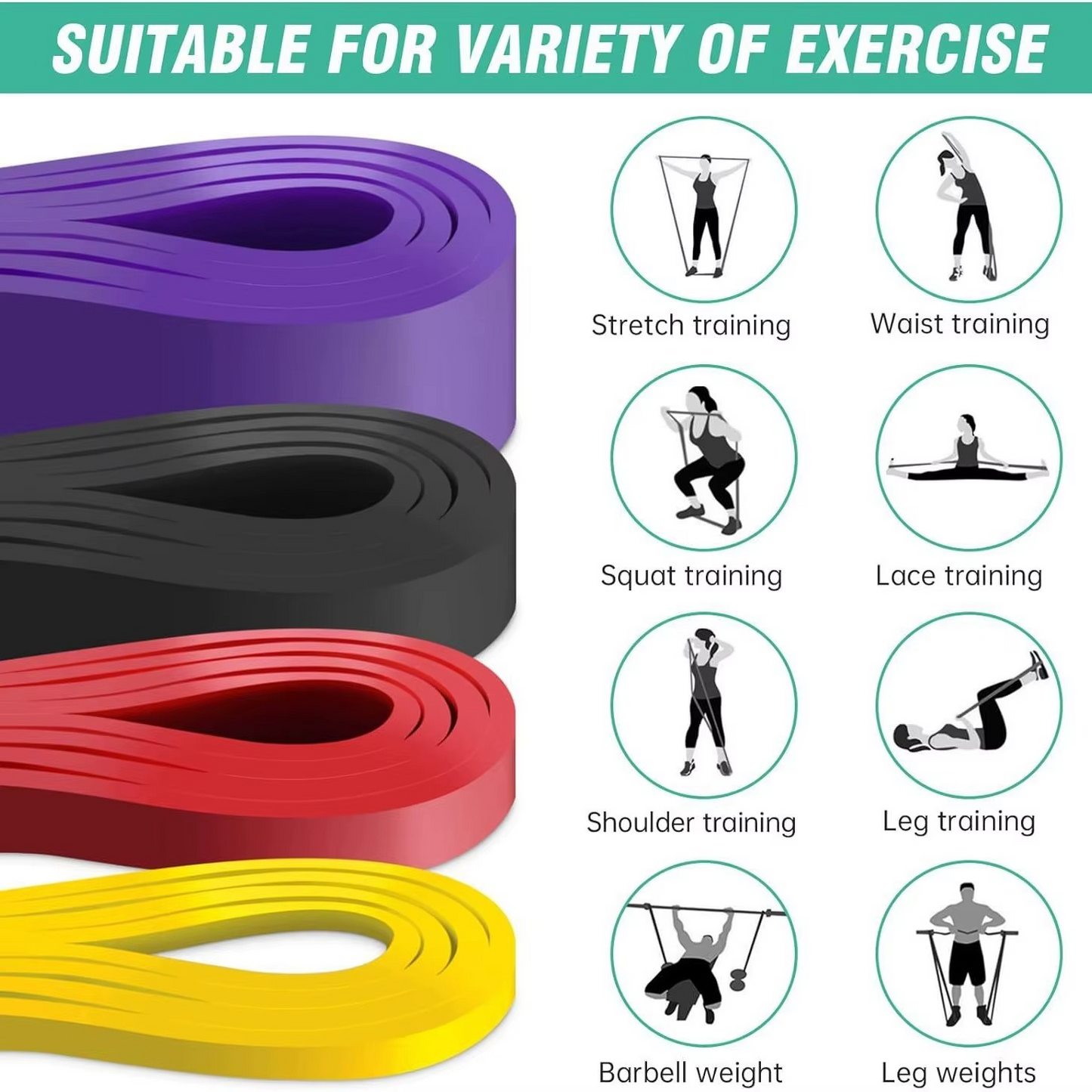 Push Band Gym – Portable Resistance Bands for Full-Body Workouts (Ab & Squat Focus) – Available in Queens, NY!