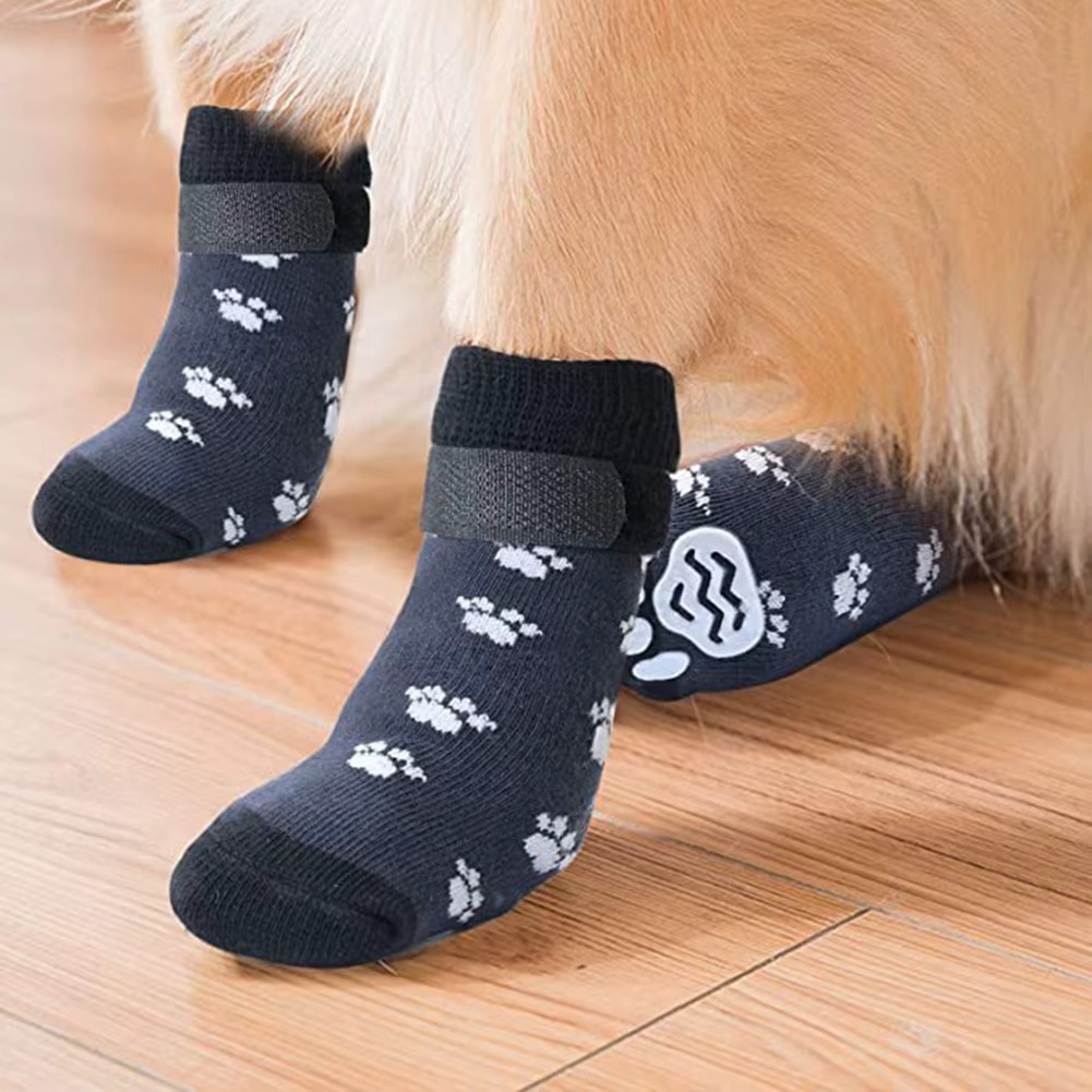 ๐พโค๏ธ ADOPT SNOWPAW NOW! Rare White Paws German Shepherd Rescue โ Last Chance for a Forever Home! ๐กโ๏ธ