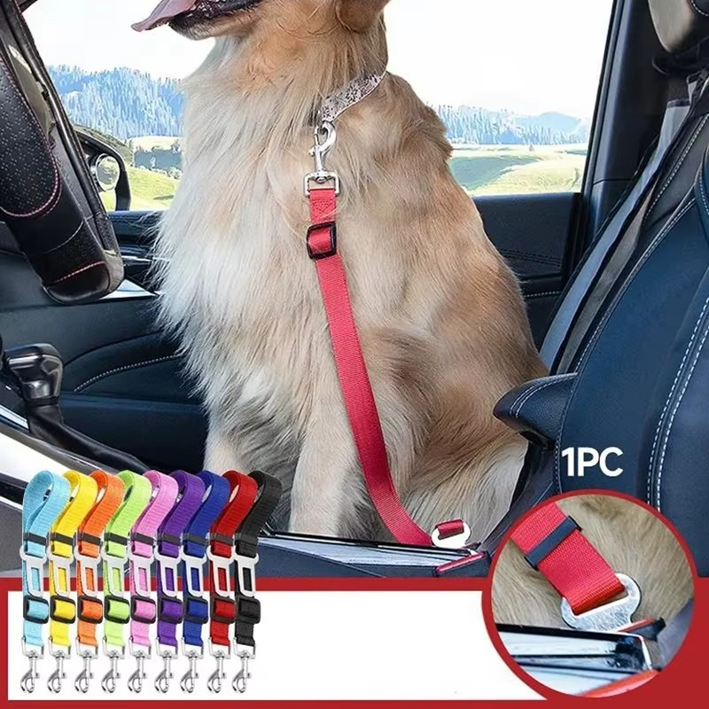 Love & Safety on the Go! πβ¨ Dog Leash with Seat Belt Buckle β Keep Your Pup Secure & Close to Your Heart!
