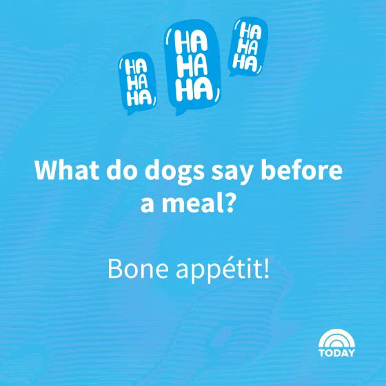 What did the Kansas City dog say at the BBQ?