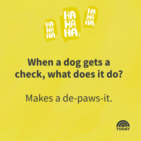 What did the Kansas City dog say at the BBQ?