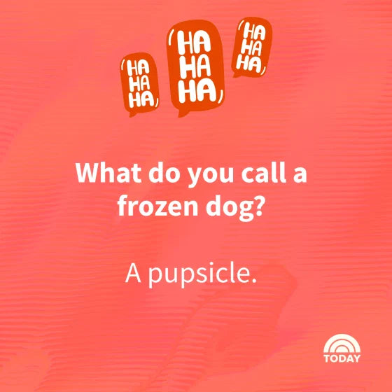 What did the Kansas City dog say at the BBQ?