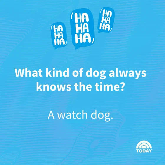 What did the Kansas City dog say at the BBQ?