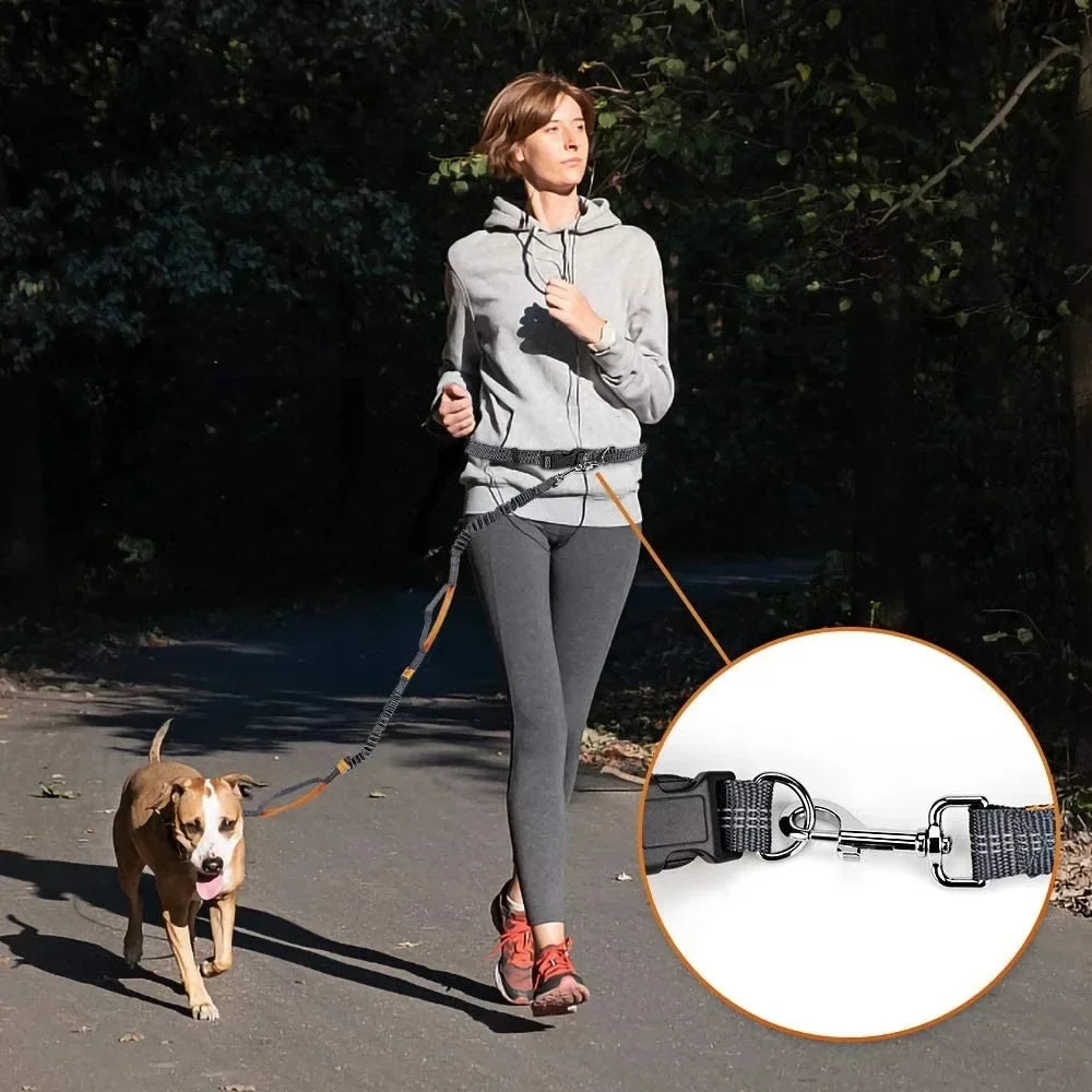 “For Every Walk You’ll Always Wish You Could Take…” | Hands-Free Dog Leash for Golden Retrievers