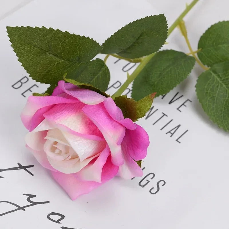 Heirloom Reconciliation Roses: A Daughter's Love Letter