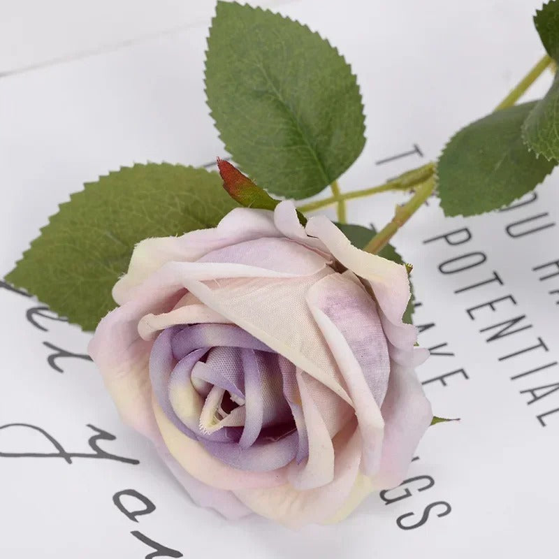 Heirloom Reconciliation Roses: A Daughter's Love Letter