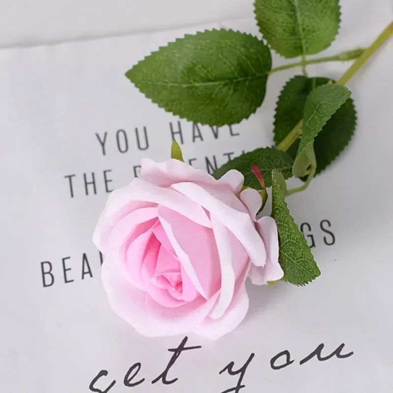 Heirloom Reconciliation Roses: A Daughter's Love Letter