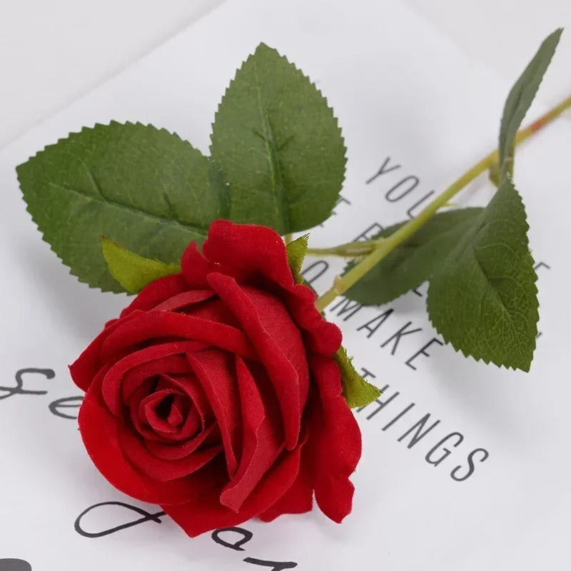 Heirloom Reconciliation Roses: A Daughter's Love Letter