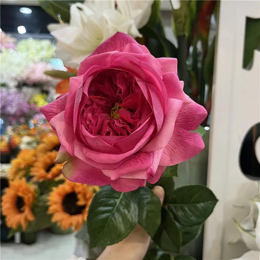 David Austin Wedding Roses: Your Blooming Fairy Tale Awaits