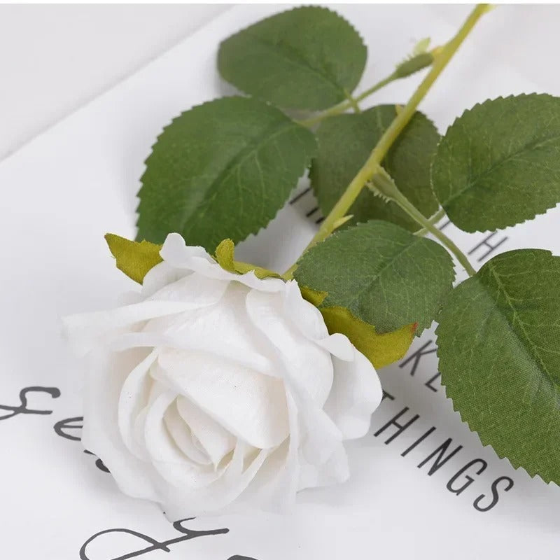 Heirloom Reconciliation Roses: A Daughter's Love Letter