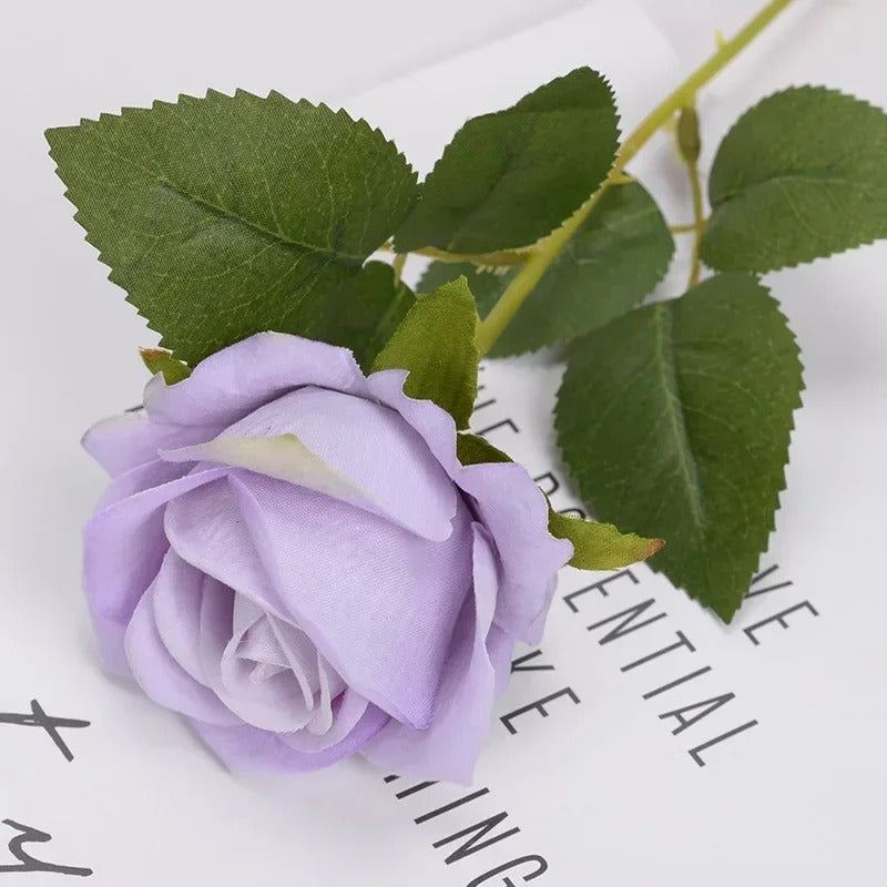 Heirloom Reconciliation Roses: A Daughter's Love Letter