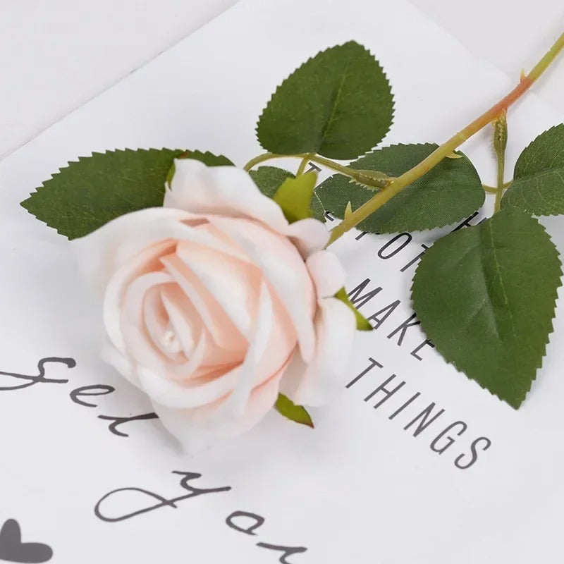 Heirloom Reconciliation Roses: A Daughter's Love Letter