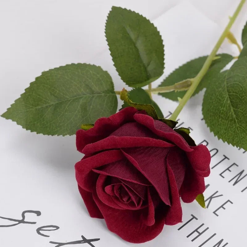 Heirloom Reconciliation Roses: A Daughter's Love Letter