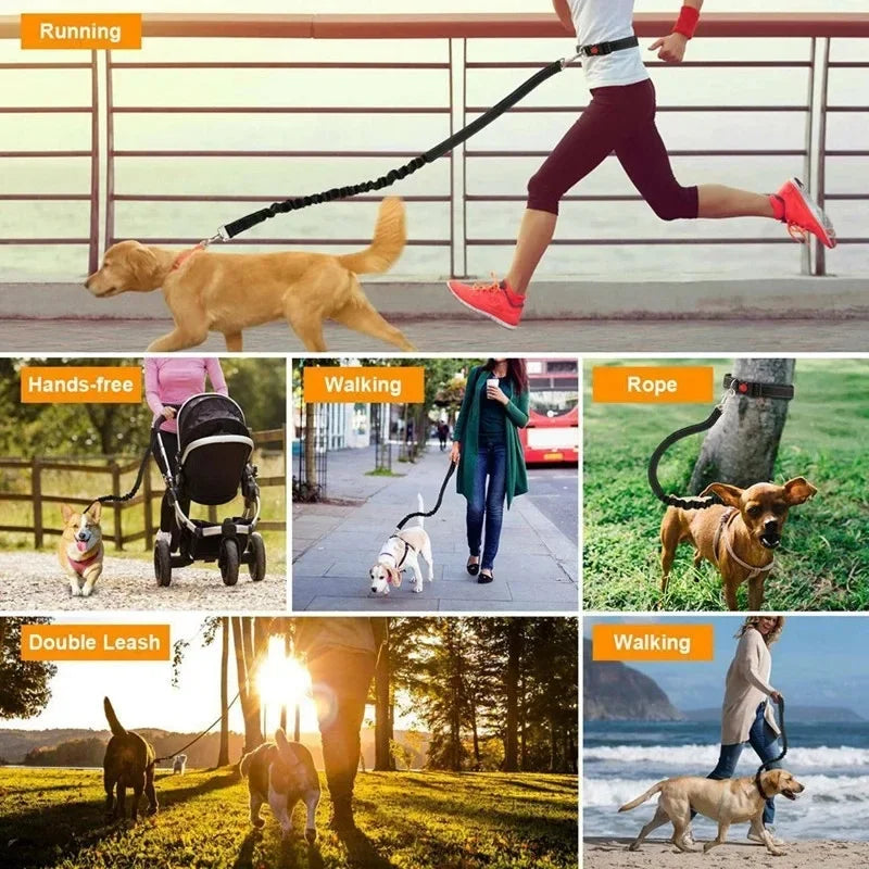 “For Every Walk You’ll Always Wish You Could Take…” | Hands-Free Dog Leash for Golden Retrievers