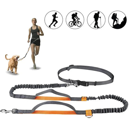 “For Every Walk You’ll Always Wish You Could Take…” | Hands-Free Dog Leash for Golden Retrievers