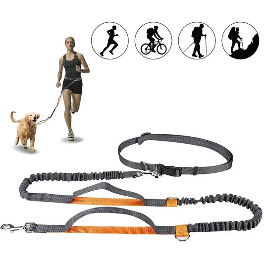 “For Every Walk You’ll Always Wish You Could Take…” | Hands-Free Dog Leash for Golden Retrievers