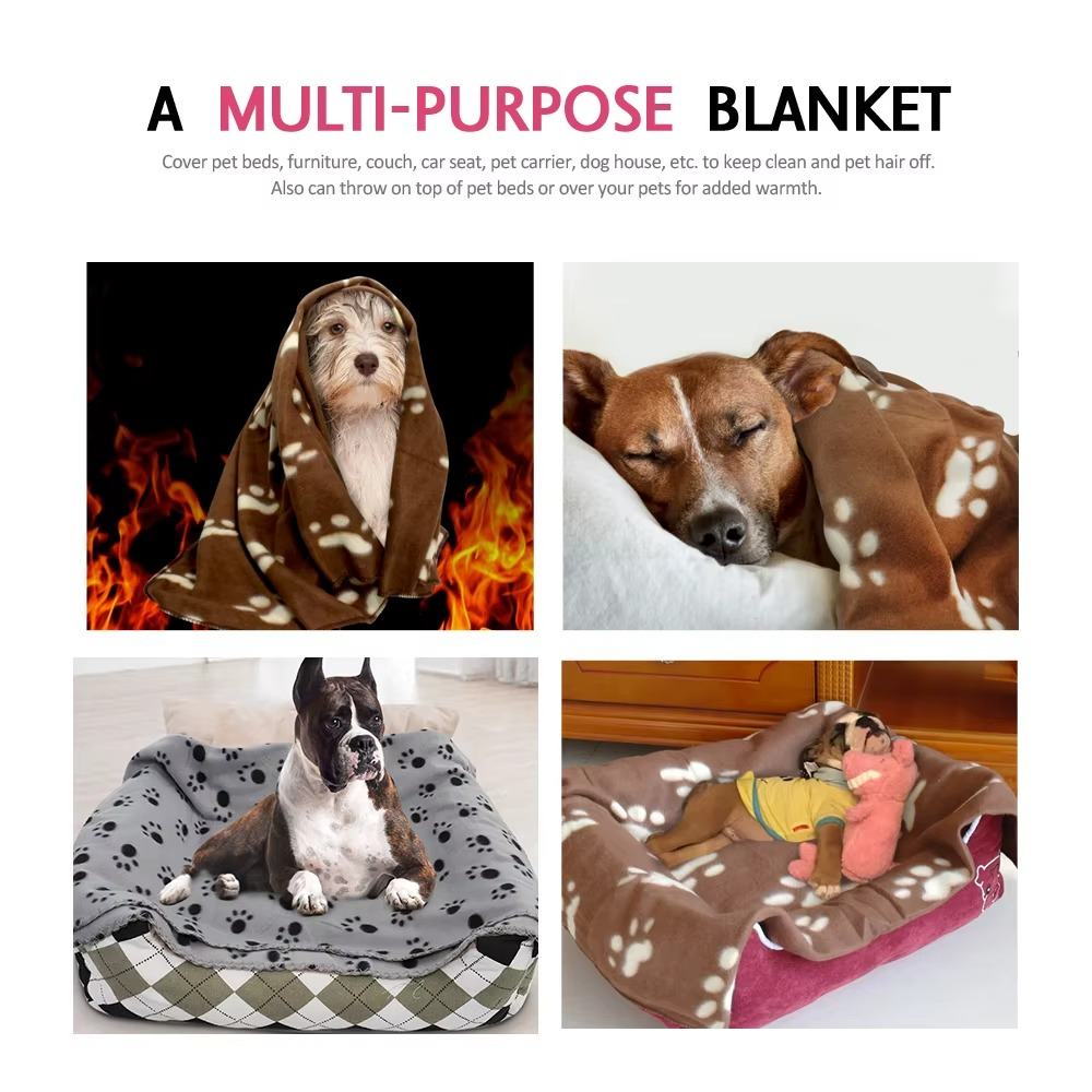 Cozy Winter Dog Blanket for Cavapoo, Cavalier King Charles, Pug & More | Council Bluffs, IA