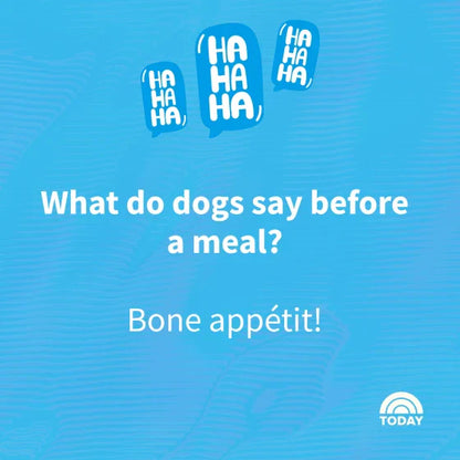 What did the Kansas City dog say at the BBQ?