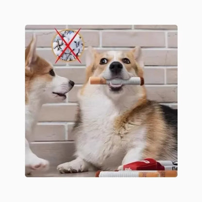 🖤🐶 He Lost His Mother… Now He Just Wants to Be Alone with His Thoughts… and His Cigarette Toy.